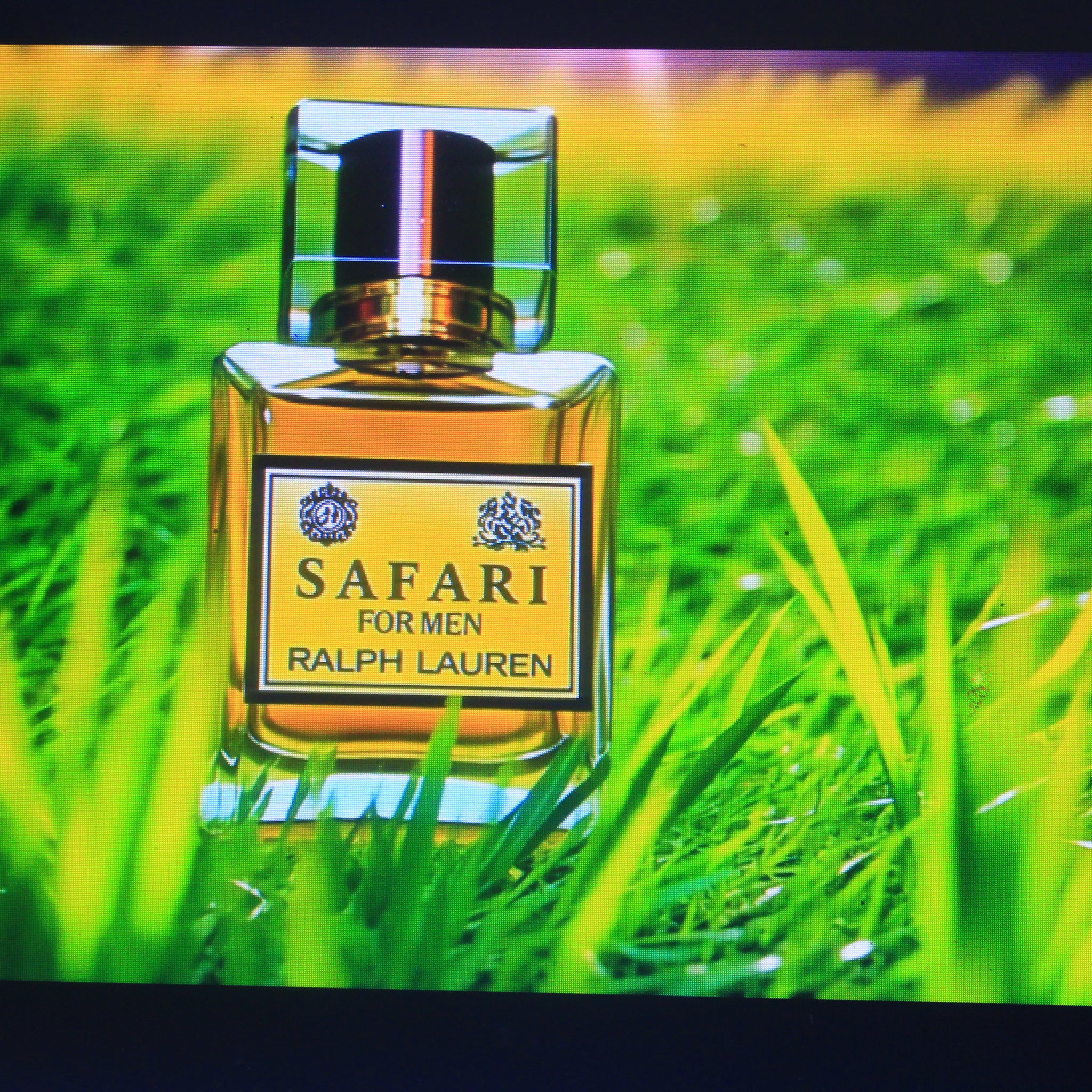 Impression of Safari for Men Ralph Lauren